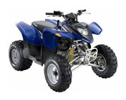 Polaris Phoenix 200 (05-..)