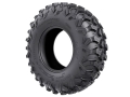 Can-Am | Maverick R Rad