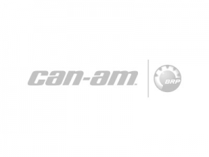 Can-Am | Bremsbelag (Satz)